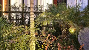 A modern building with large windows and a well-maintained garden with various plants and a palm tree.