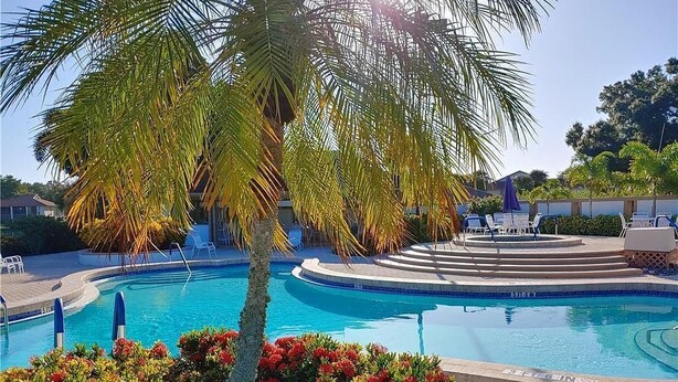 A swimming pool with a palm tree and red flowers in the foreground, surrounded by lounge chairs and a building in the background.