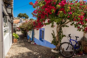 Biệt thự | 5 phòng ngủ