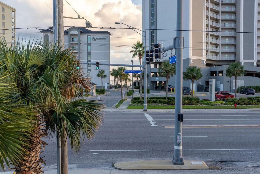 A street view with palm trees, a traffic light, and buildings in the background.