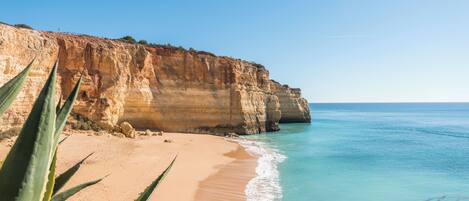 Plage, chaises longues, serviettes de plage