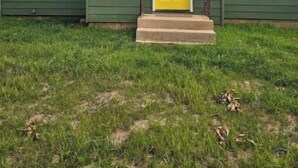 A green house with a yellow door, numbered 507, and a small porch. - Scotty's sunny spot (Doniphan)