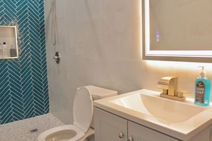 Bathroom - 15 Minutes From Manhattan Private Two Bedroom Apartment in Astoria/LIC/Queens NY (Queens)
