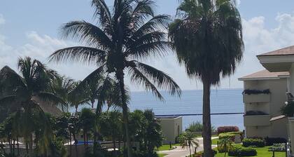 Your New Vacation Place in Fantastic Nokomis Charming 3-bedroom townhome AC/WIFI