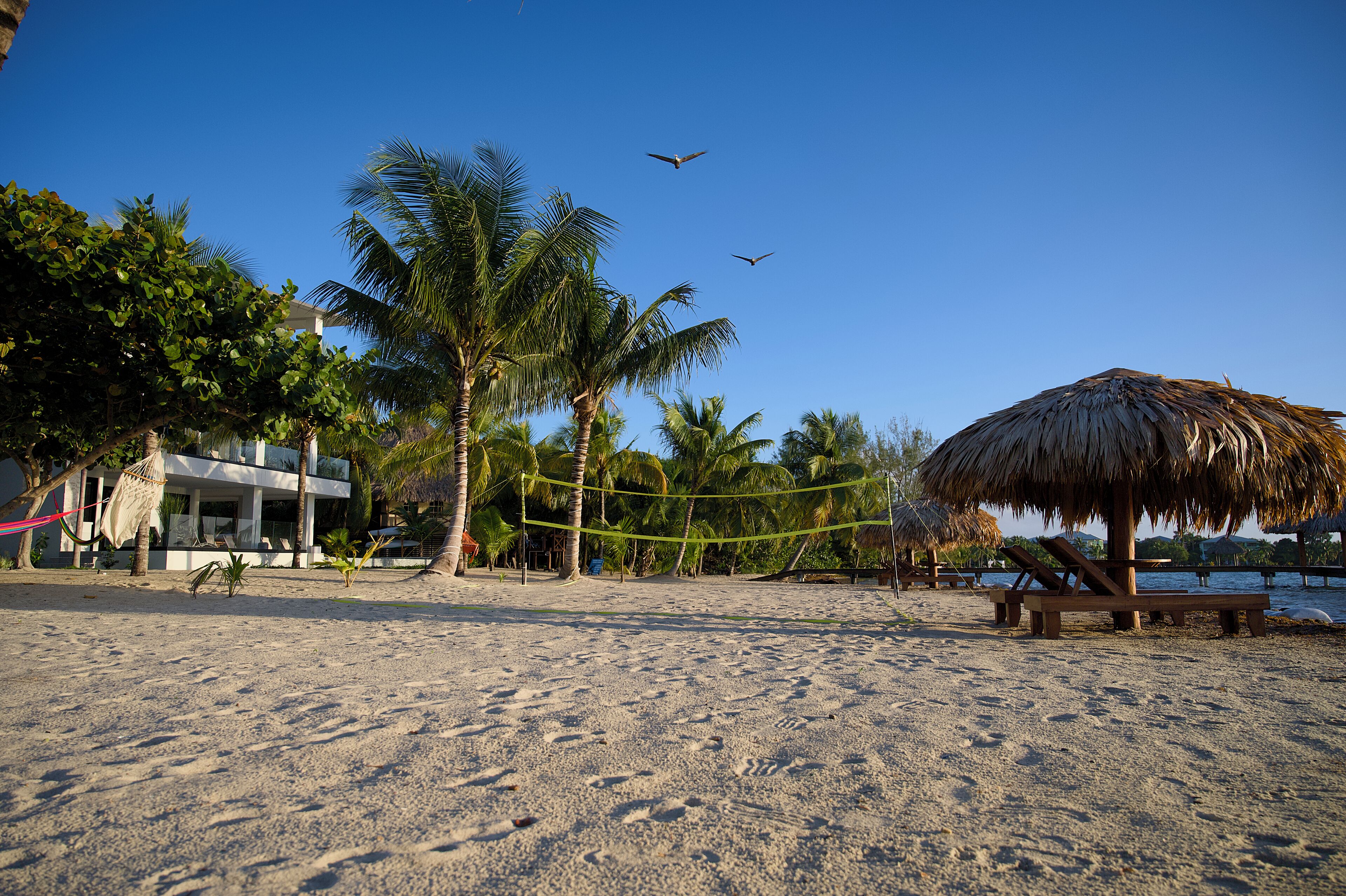 A beach with a thatched umbrella, palm trees, and a volleyball net.