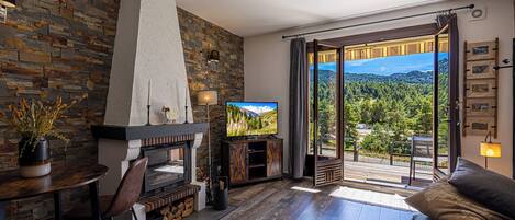 TV, fireplace, DVD player, video library