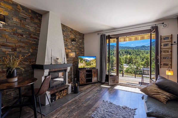 TV, fireplace, DVD player, video library