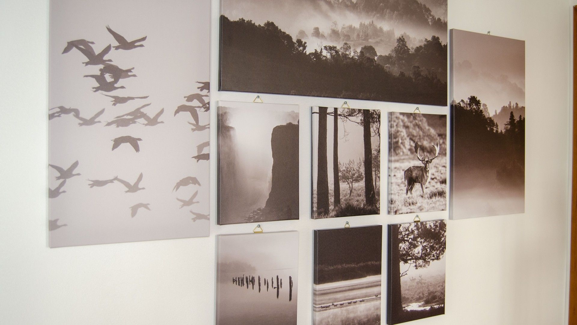 A wall with multiple black and white photographs of nature scenes.