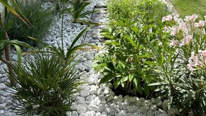 Un jardin avec différentes espèces de plantes et un chemin recouvert de gravier.