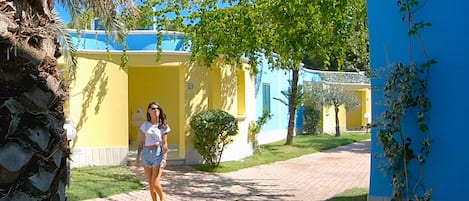 A pathway leading to a building with yellow and blue exterior walls, surrounded by greenery and a palm tree.