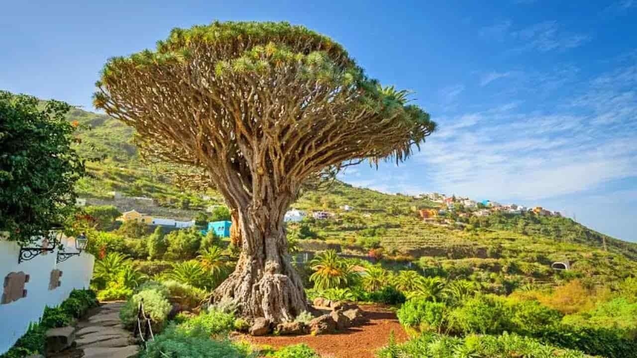 Foto - Finca el Castillo