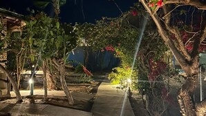 Un chemin de jardin illuminé, avec des plantes et des arbres éclairés, pour une promenade nocturne.