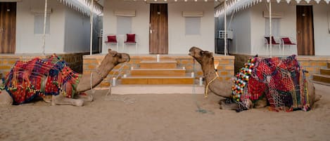 Tente Premium | Coin séjour