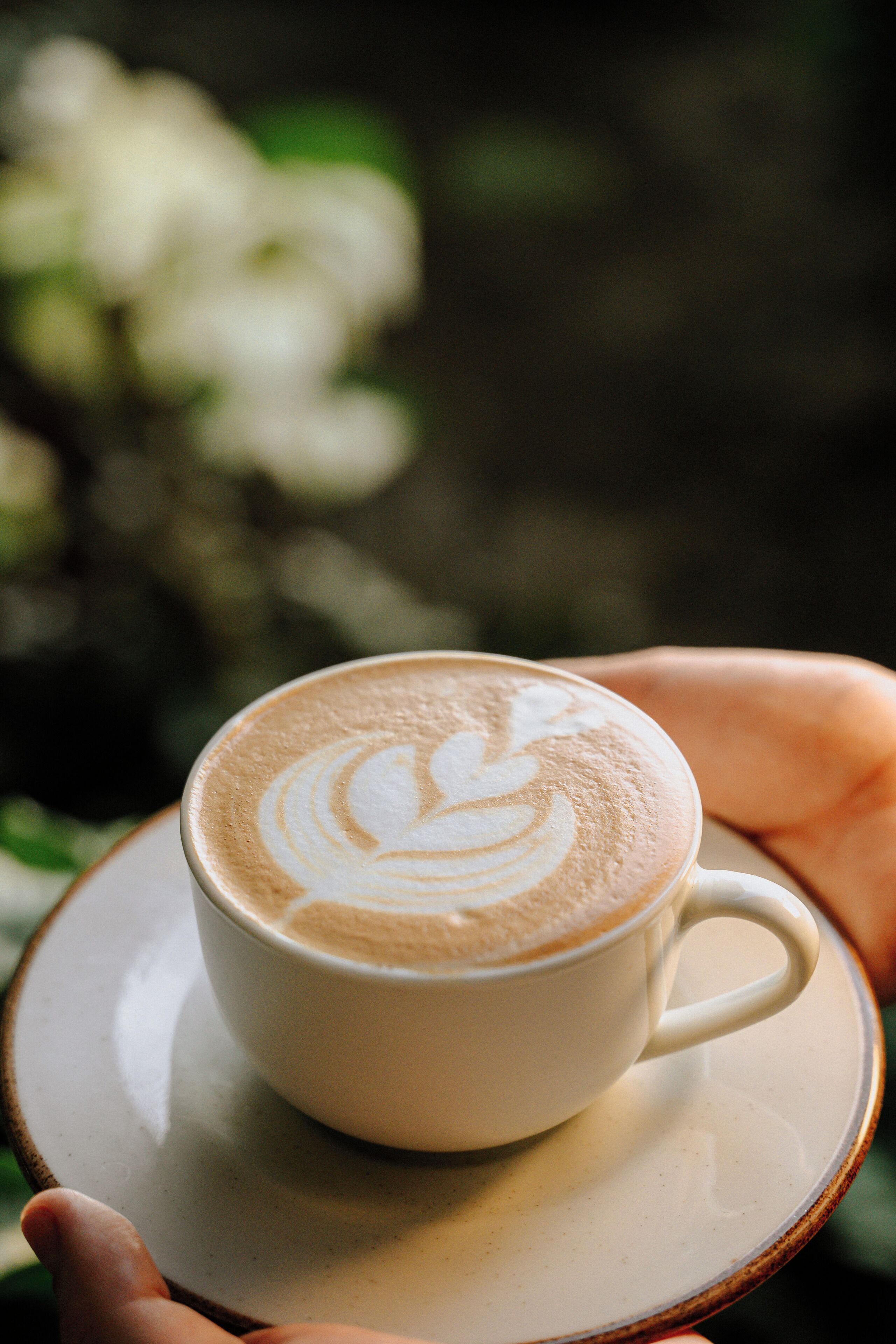 Eine Tasse Kaffee mit Latte-Art auf einem Untertasse, gehalten von einer Hand.