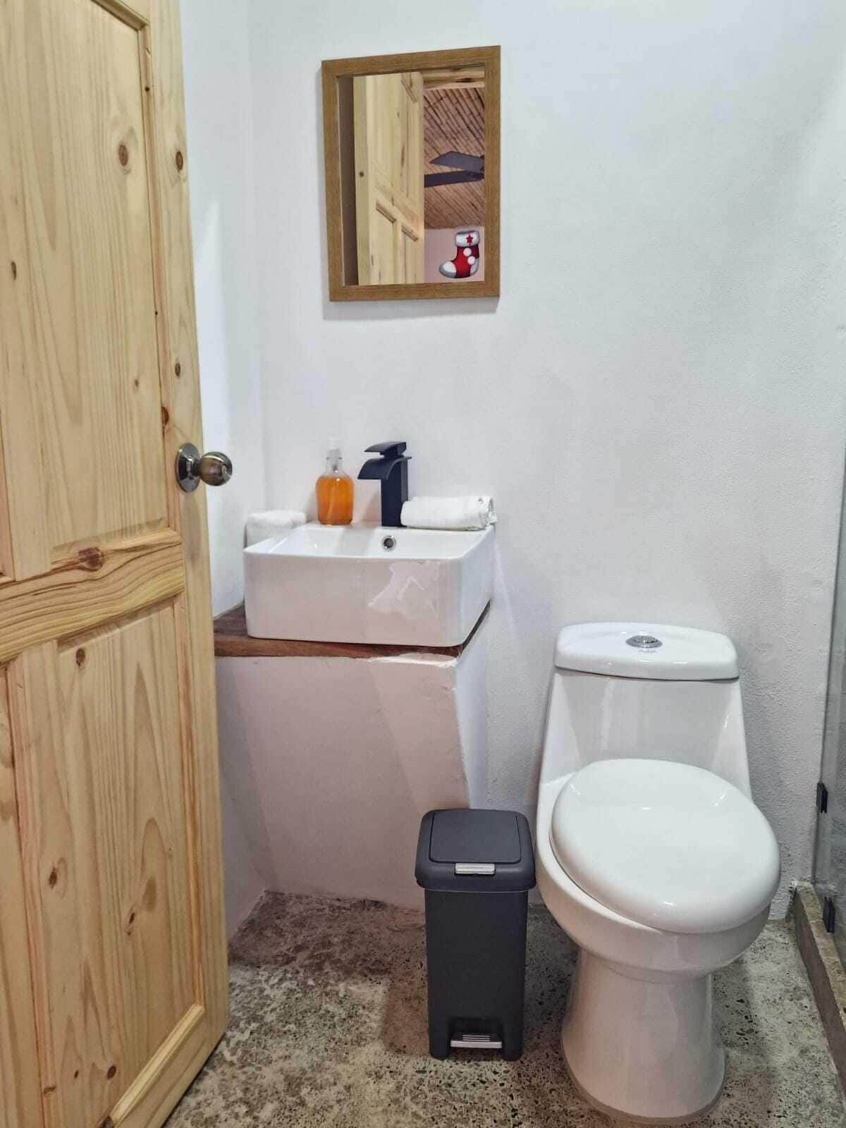 A small bathroom with a wooden door, a white sink with a soap dispenser, a toilet, and a trash bin.