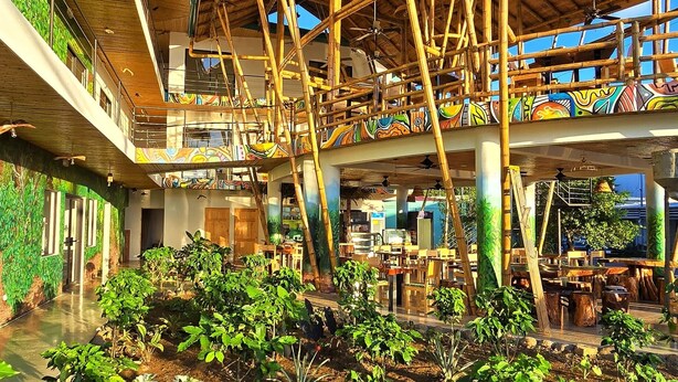 Un jardín interior con plantas y una estructura de bambú en el techo.