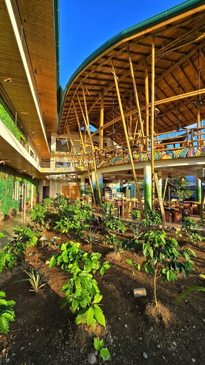 An indoor garden area with plants and a bamboo structure overhead. - Bonding Coffee Roaster Café & Hotel (Quepos)