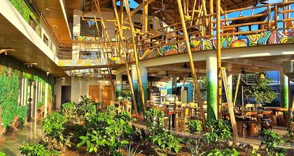 Bonding Coffee Roaster Café & Hotel