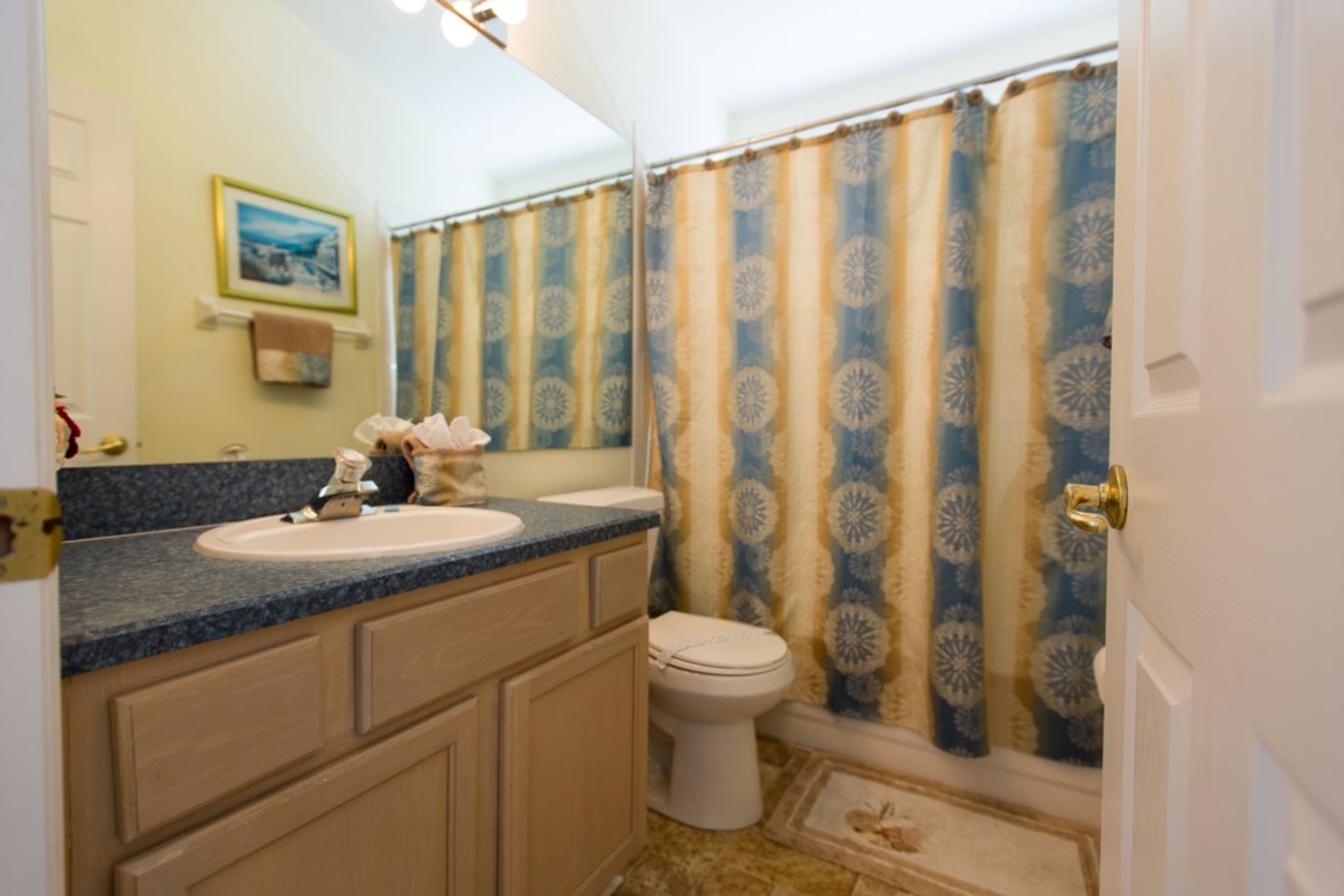 A bathroom with a sink, toilet, and shower curtain.