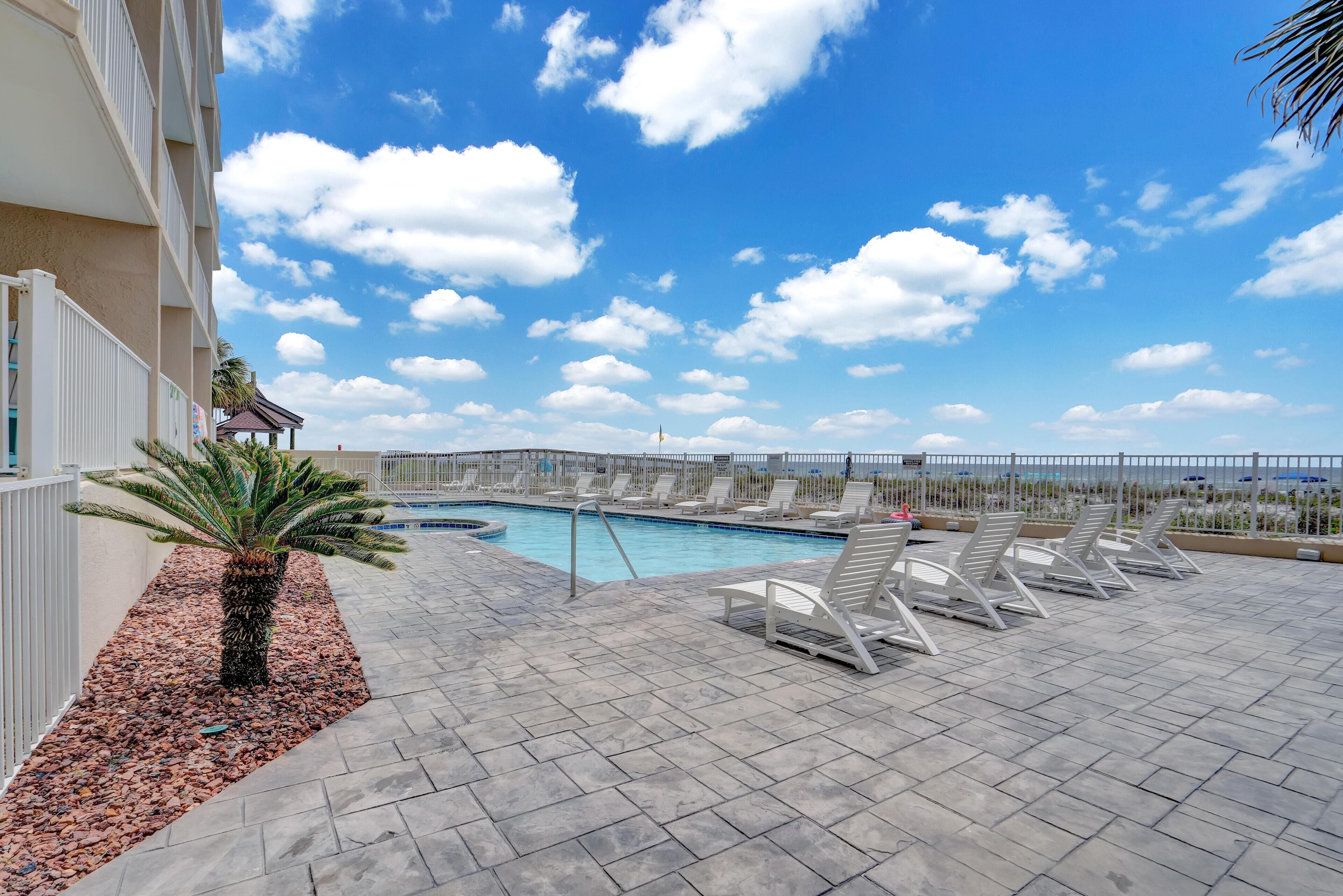 A rooftop pool area with lounge chairs and a palm tree.