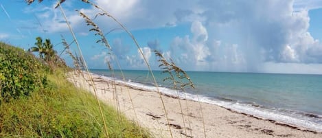 サンラウンジャー、ビーチタオル