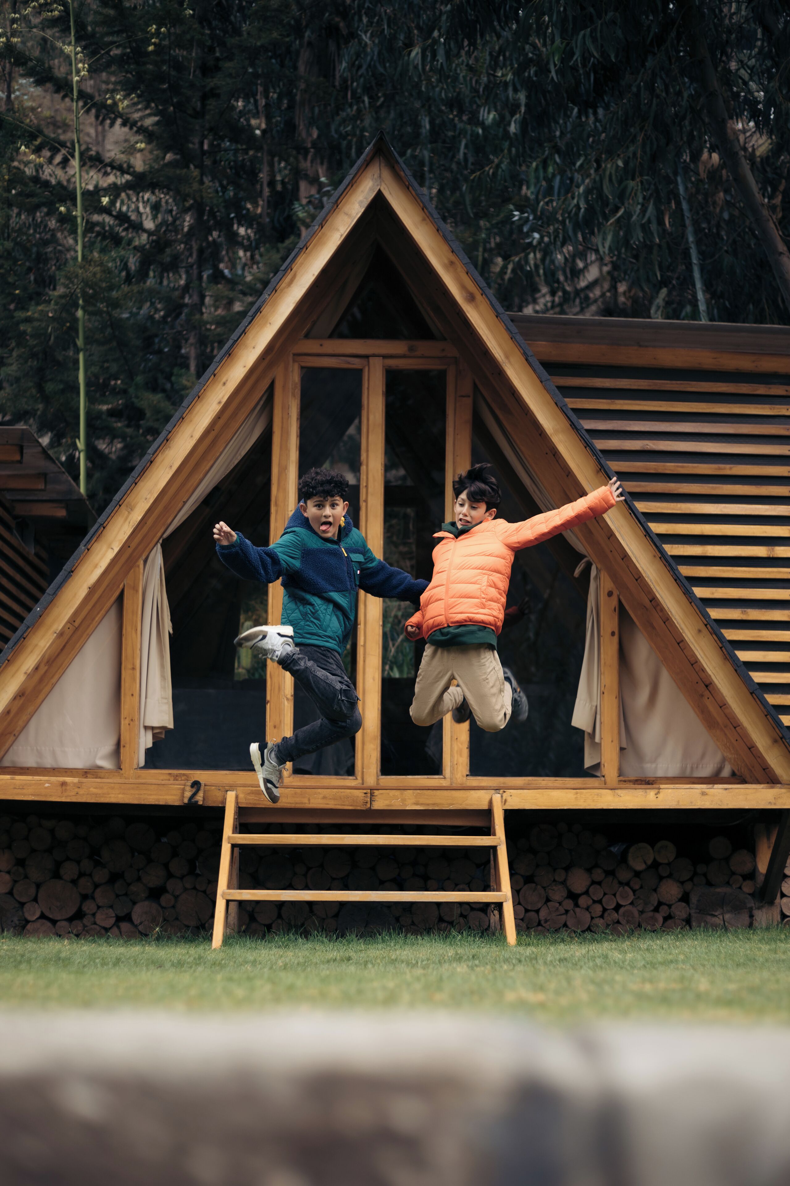 A wooden cabin with a triangular roof, a ladder leading to a window, and a stack of firewood in the background.