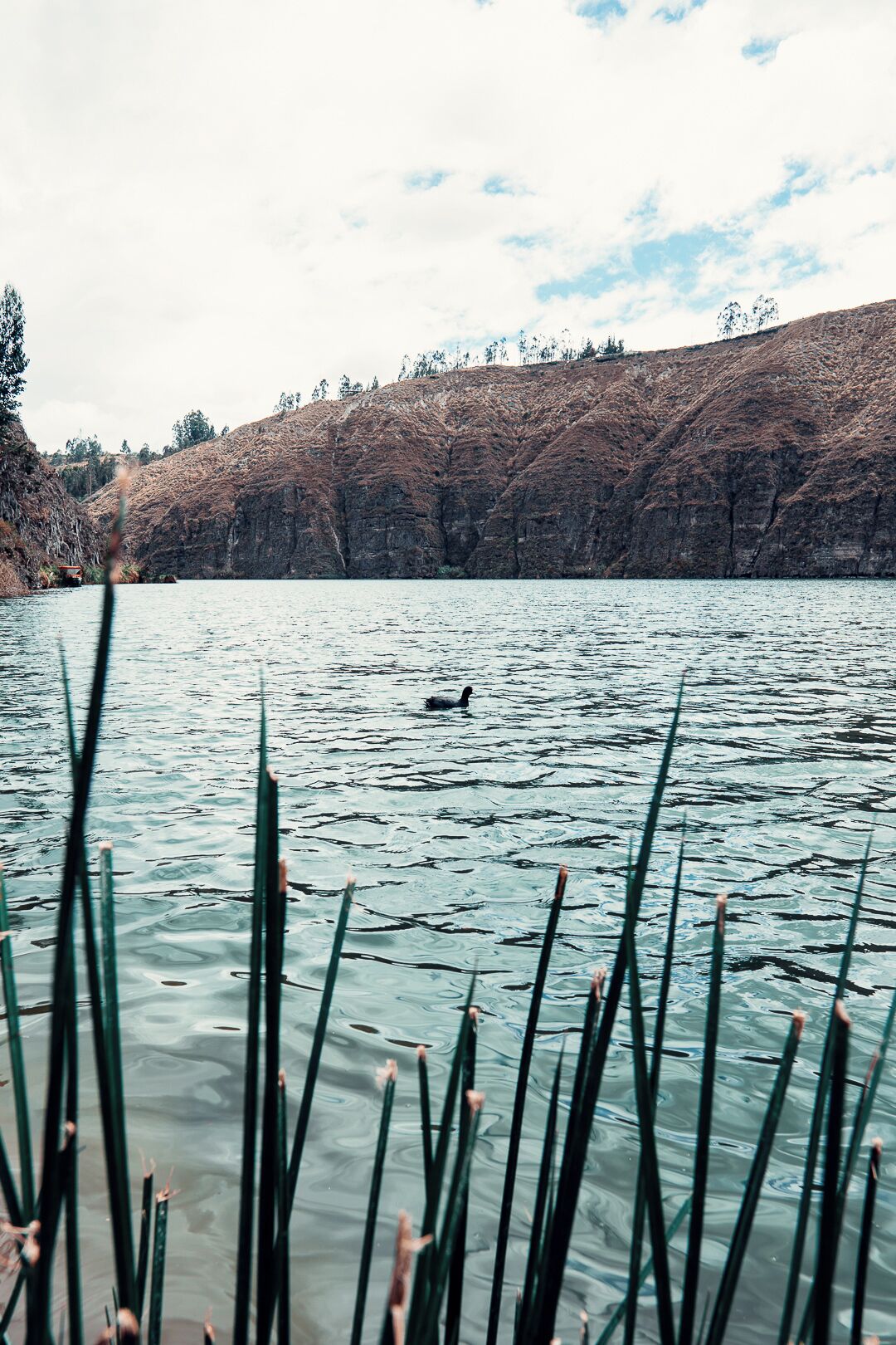 Un lac paisible, avec des roseaux au premier plan et une colline rocheuse en arrière-plan.