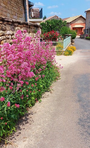 Front of property - Gîte de La Pyranvôle (Lacrost)