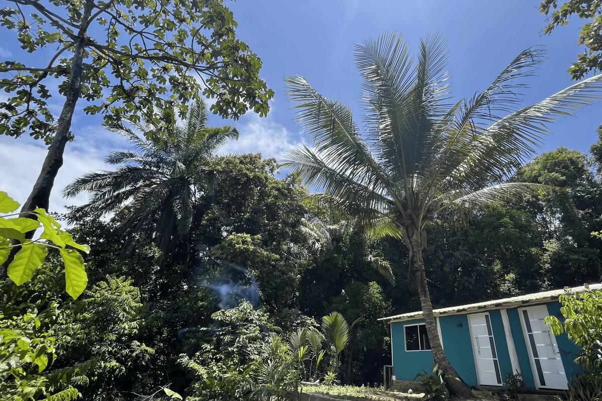Un petit bâtiment d’un seul étage, entouré d’une végétation tropicale dense, notamment de palmiers et de différentes espèces de fougères.