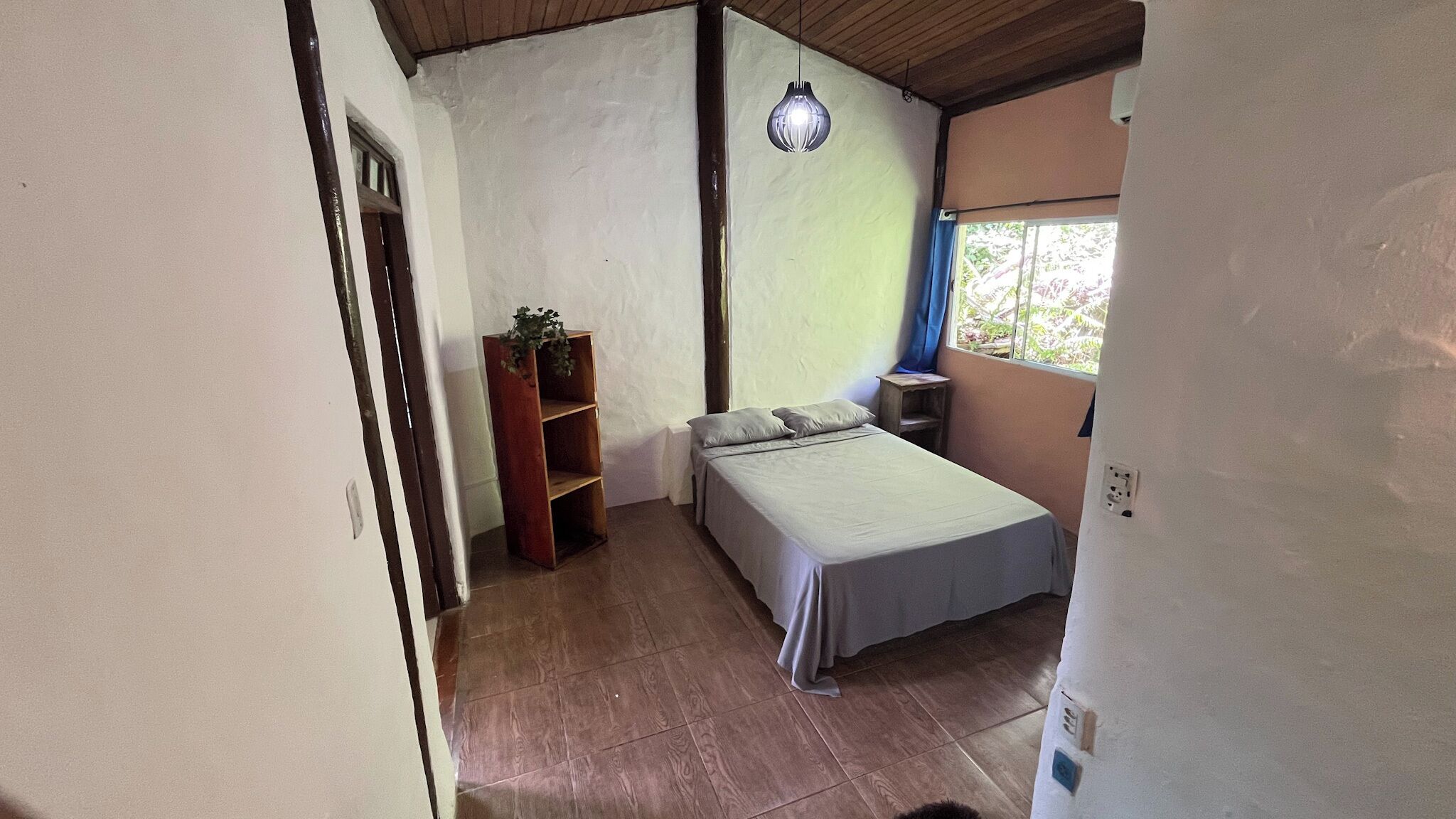 A small, single-bed room with a wooden floor, a bedside table, a shelf with a plant, and a window with a view of greenery.