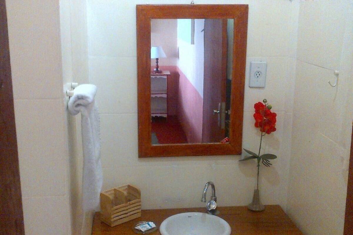 Une salle de bain avec un lavabo blanc, un meuble-lavabo en bois, un miroir, un porte-serviettes et un vase avec une fleur.