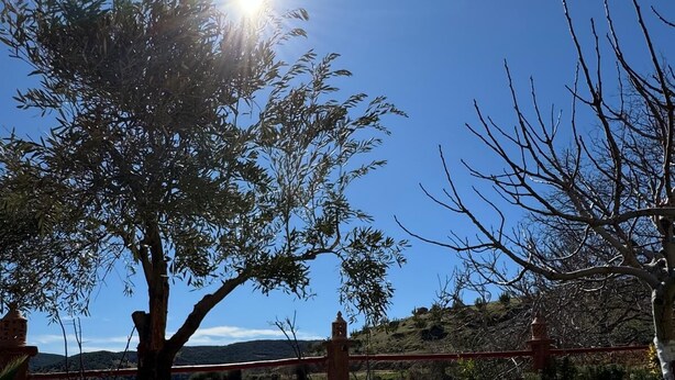 A table with two plates of food, a tree, and a clear blue sky. - Gite Mrbie (Oum Rabia)