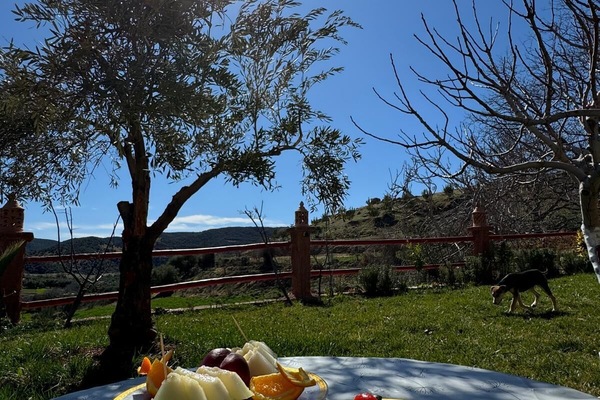 Área de parrilladas y picnic