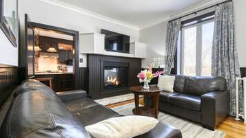 Télévision, cheminée, chaßne hi-fi