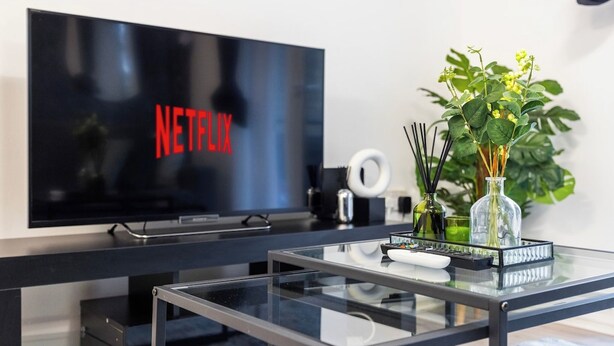 A modern living room with a flat-screen TV displaying the Netflix logo, a glass coffee table with remote controls, decorative items, and a potted plant.