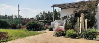 Gardenparadise Sifnaios in Paros