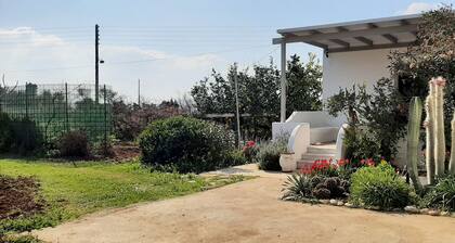 Gardenparadise Sifnaios in Paros