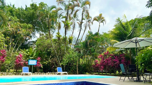 Ein Schwimmbecken mit blauen Mosaikfliesen, umgeben von üppiger Vegetation und Palmen.