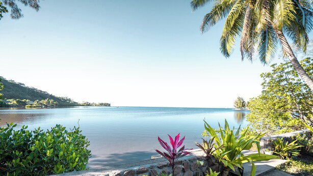 A serene lakeside view with a stone wall, tropical plants, and a palm tree. - Fare Taina by Tiare Lodge (Vai'anae)
