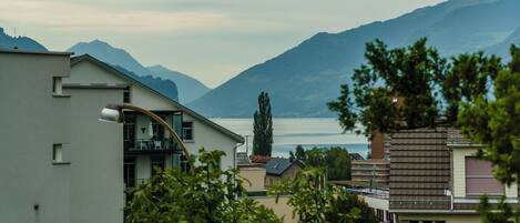 A residential area with a view of mountains and a lake.