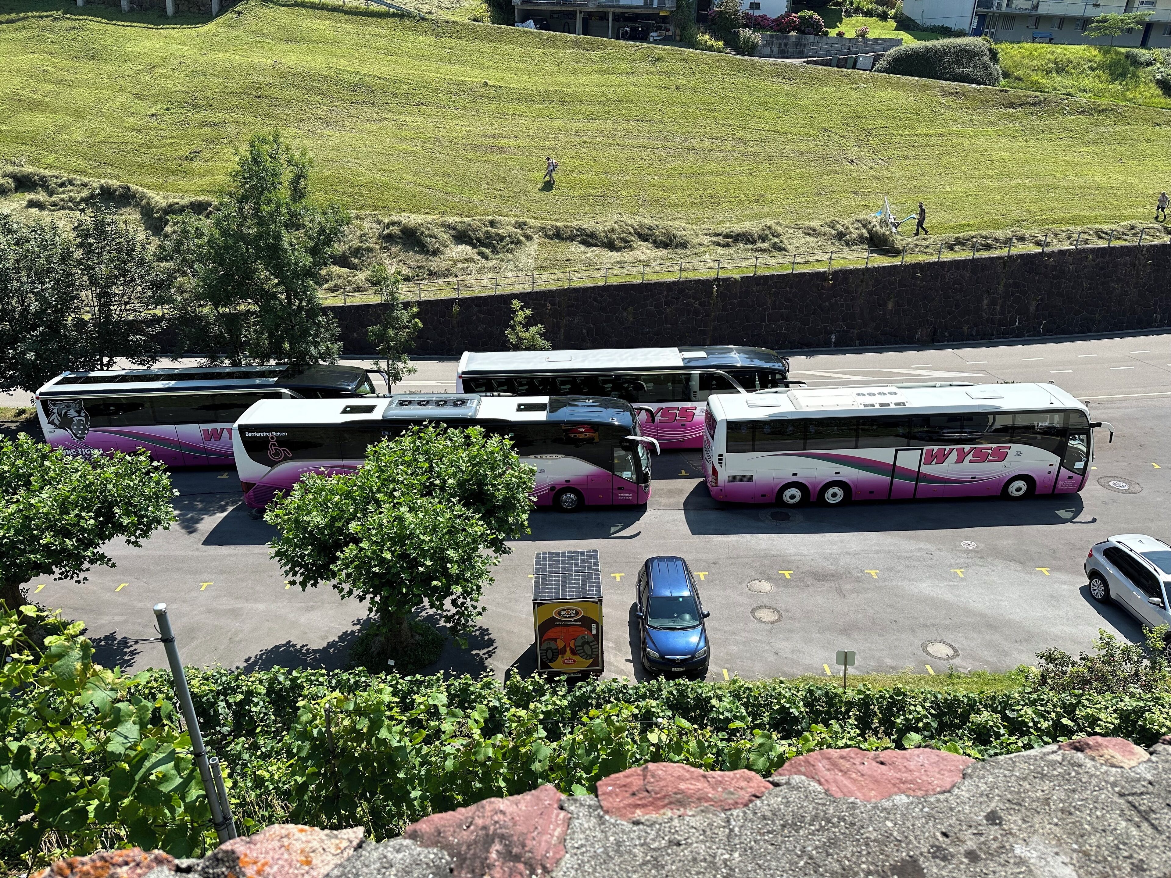 A parking lot with several buses and a few cars.