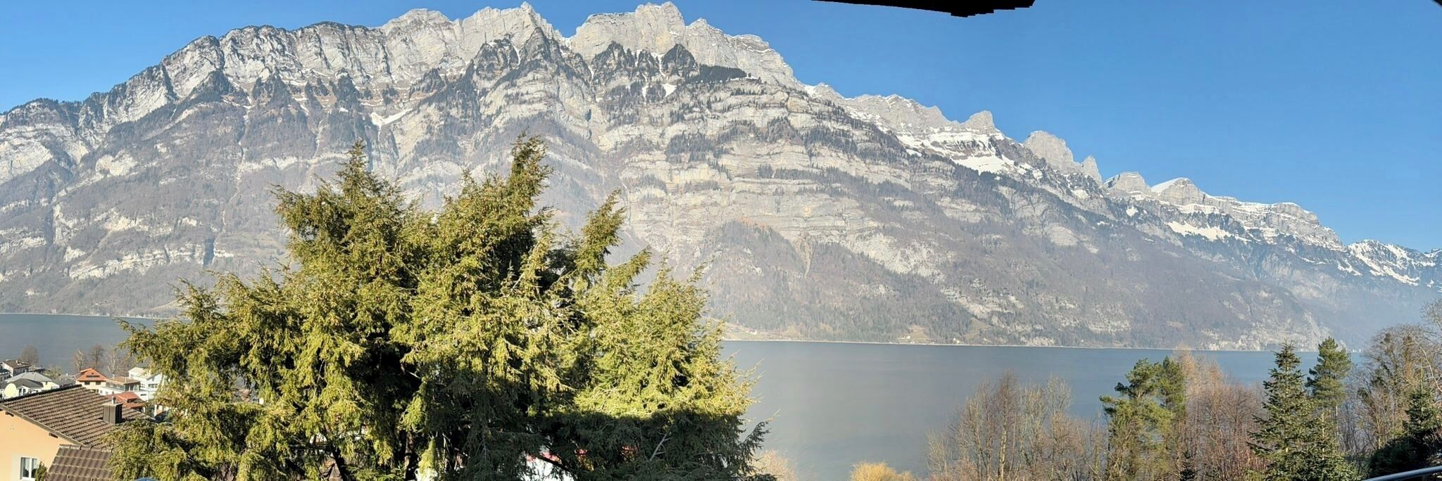 Un paisaje montañoso con un lago y árboles en primer plano.