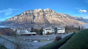 Ein Berg, im Vordergrund das Restaurant "Restaurant Seeflue", ein Parkplatz und im Hintergrund ein Gewässer.