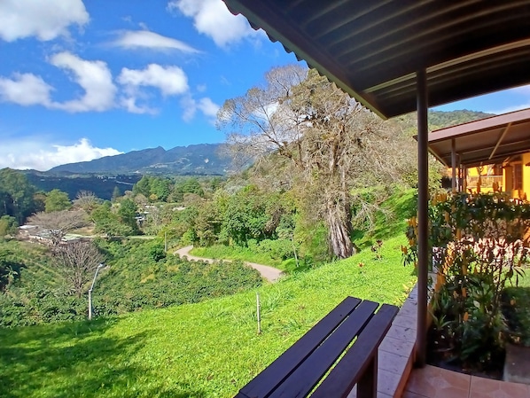 Deluxe Bungalow, 1 Bedroom | Terrace/patio