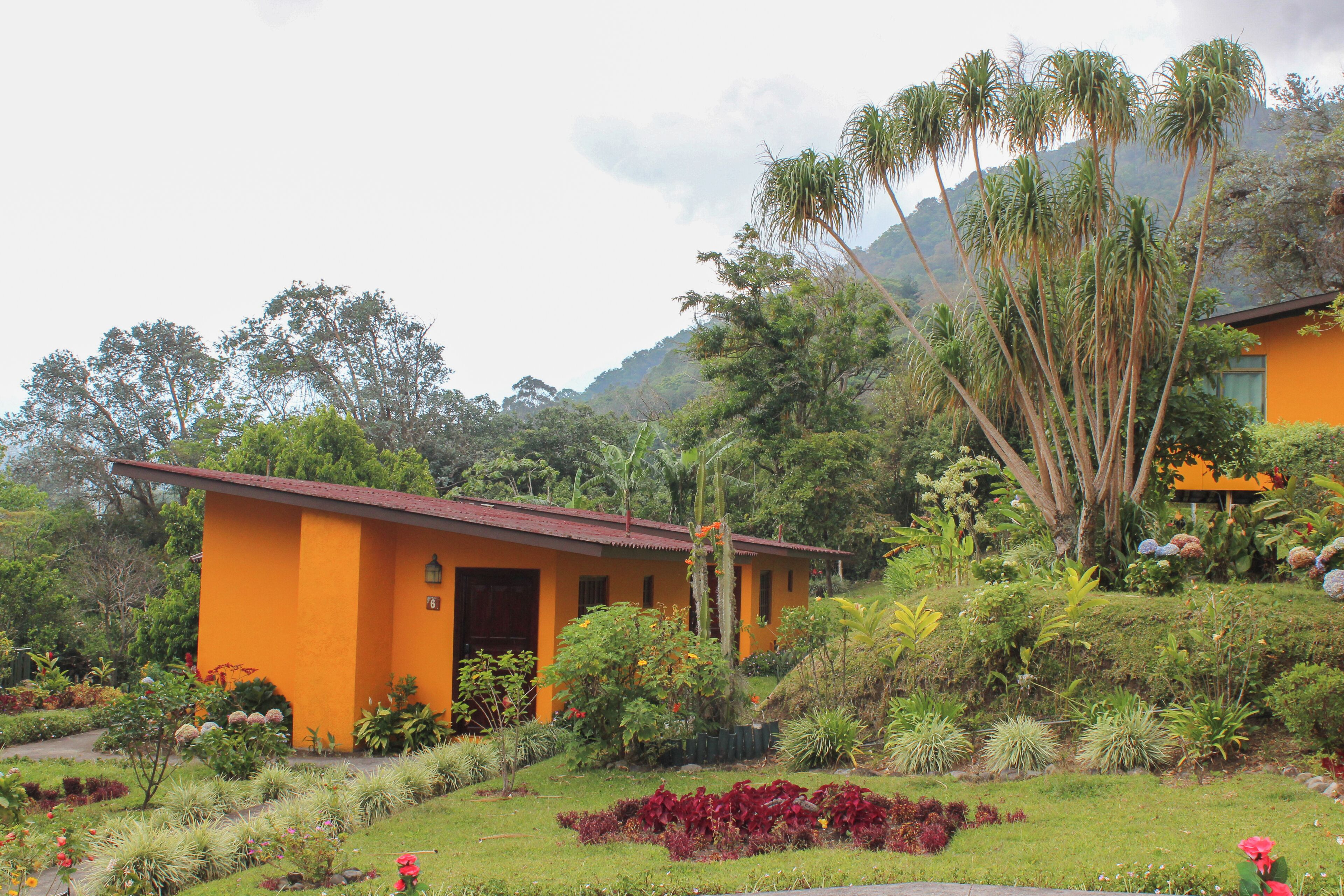 Standard-Bungalow, 1 Schlafzimmer | Terrasse/Patio