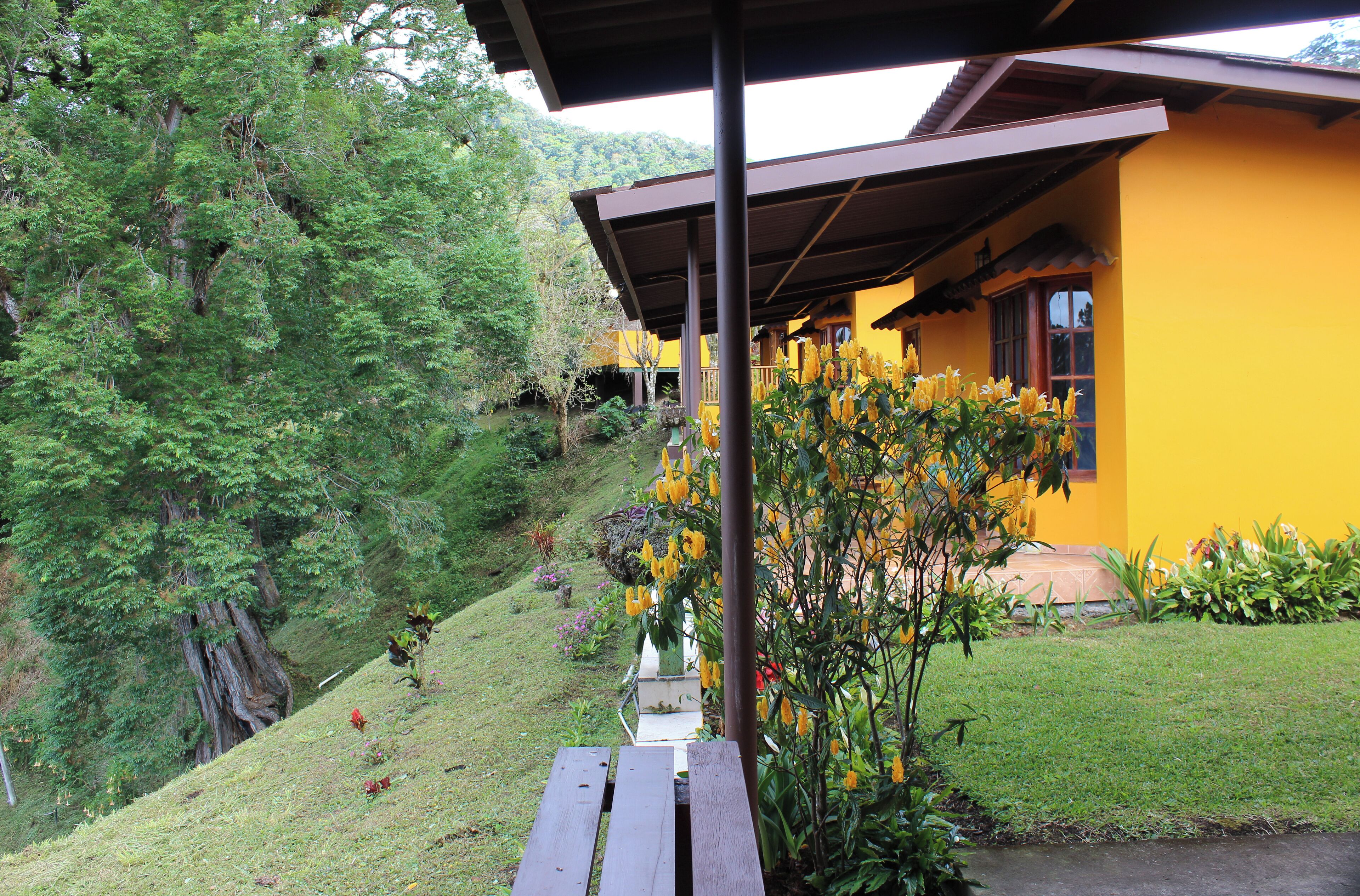 Deluxe-Bungalow, 1 Schlafzimmer | Terrasse/Patio