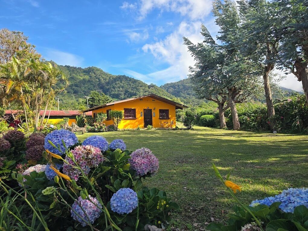 Deluxe Suite | Terrace/patio