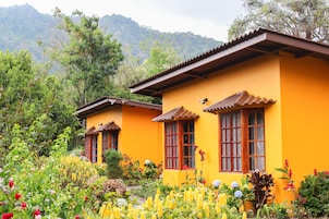 Bungalow estándar, 1 habitación | Wifi gratis y ropa de cama