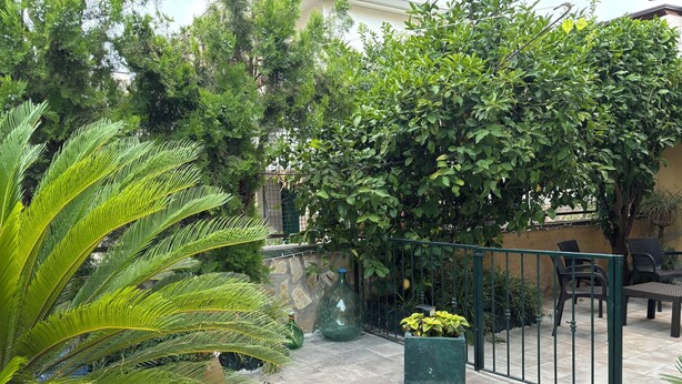A patio area with a tiled floor, a green metal fence, and various potted plants. - B&B il girasole (Maddaloni)