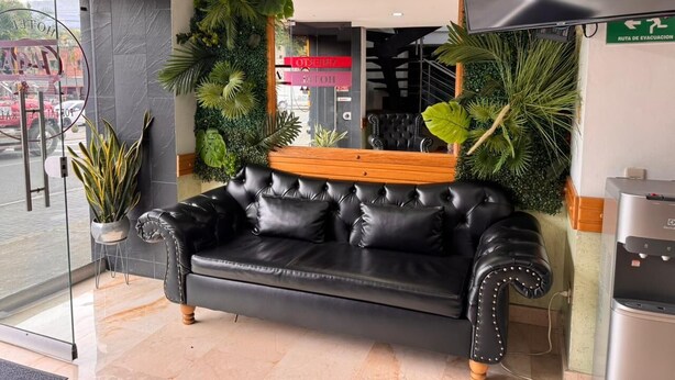 A black leather sofa with wooden legs, a small wooden table, and a large potted plant. - Hotel Portal Central (Itagüí)